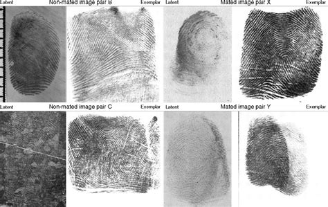 does the autoclave destroy latent fingerprints|latent fingerprinting on contact.